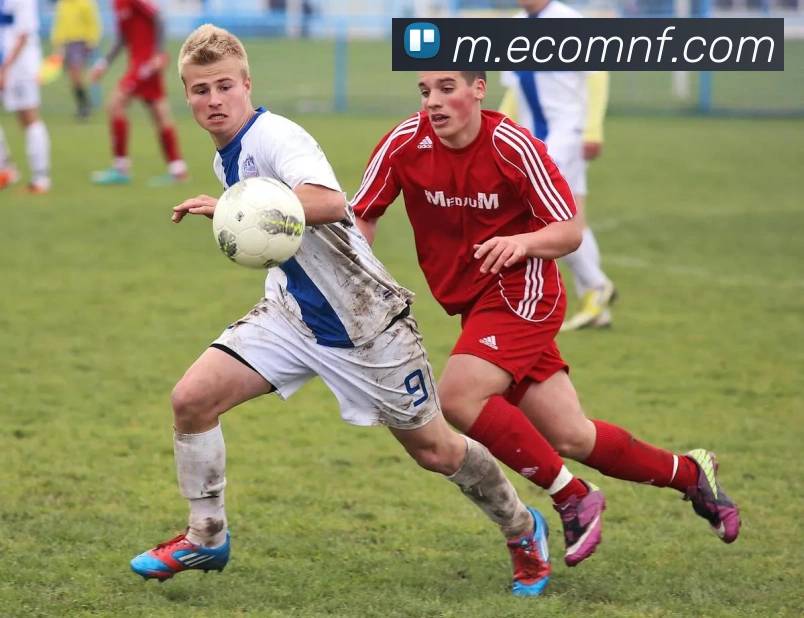 多媒体互动体验