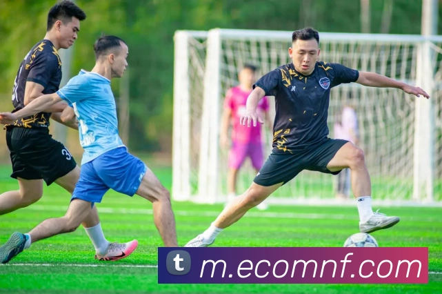 星空体育APP 体育赛事宣传图